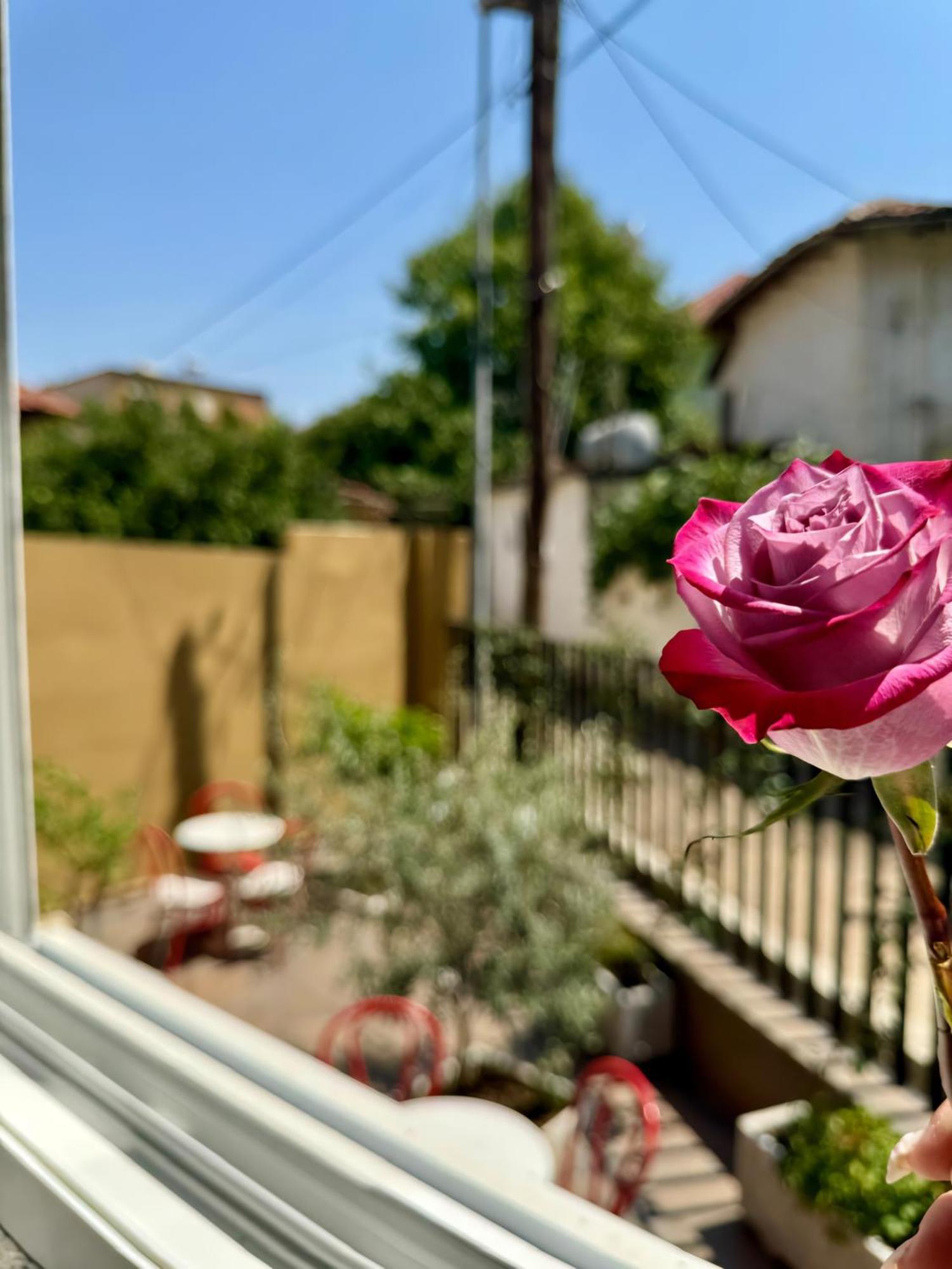 Vila Panto Tirana Buitenkant foto